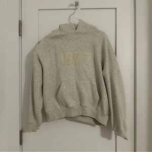 Essentials Beige/Gray Hoodie